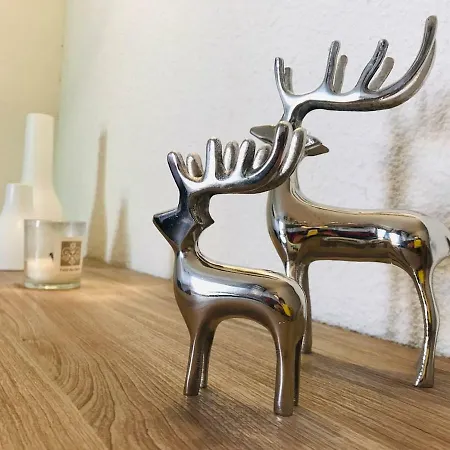 Apartment Triplex 3 65m2 Pour 6p Parking Couvert Cauterets